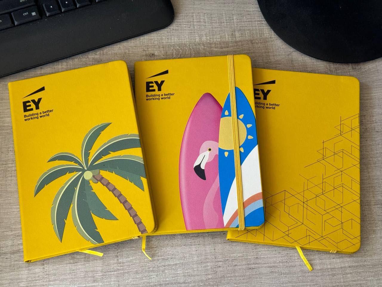 Ey project 13
